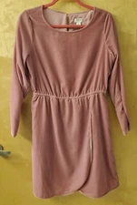 NWT ($99) J Crew Pink Velvet Velour Tulip-Hem Long Sleeve Dress, size 4