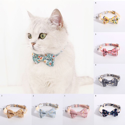 Caméra Collier Pour Chat/Chien Grand Angle 120° HD 1080P – Mini Caméra Sport Action OTG, Ultra Légère 20g, Intérieur/Extérieur