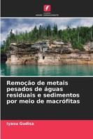 Iyasu Gudisa | RemoçãO De Metais Pesados De áGuas Residuais E Sedimentos Por...