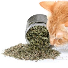 Cat Mint Catnip Catnip Organic Dried Ground Catnip High Potency Cat