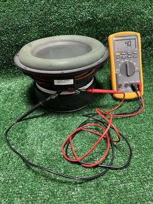 Sunfire True Subwoofer MK II, 10  Woofer Only, NEEDS SURROUND FOAM!
