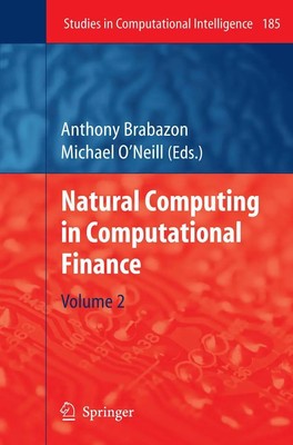 Natural Computing in Computational Finance Volume 2 Michael O'Neill (u. a.) Buch