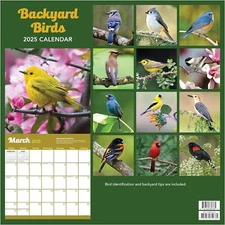 2025 Backyard Birds Wall Calendar