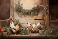 CHICKEN FARM CHRISTMAS STRETCHED CANVAS PRINT WALL ART READY TO HANG CA11