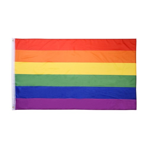 Bandiera arcobaleno 3 x 5 piedi Gay Pride Lesbica 36" x 60" bandiera LGBT con occhielli - Foto 2 di 7