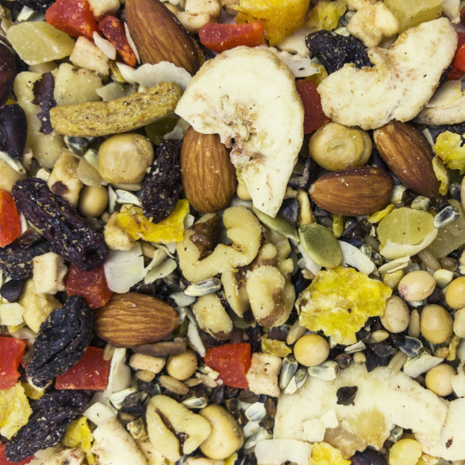 Higgins Premium Pet Sunburst Gourment Bird Treats, Fruits to Nuts, 20lb