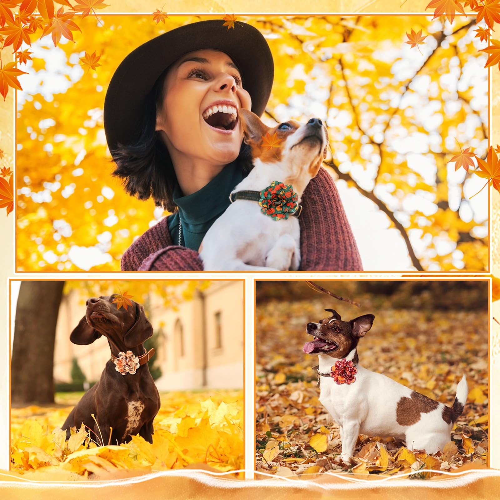 60 Accessori per Collari Autunno per Animali Domestici foto 6