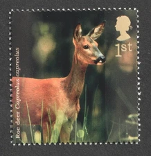 2004 1st Roe Deer. Woodland Animals. SG 2480
