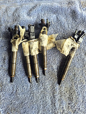 Volvo V40 V60 S60 V70 S80 2.0 D3 D4 Diesel Fuel Injector 31303238 12M [VSB2501]