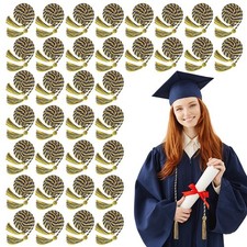36 Pieces Graduation Honor Cords Bulk Tassel 2025 Braided Party Decor