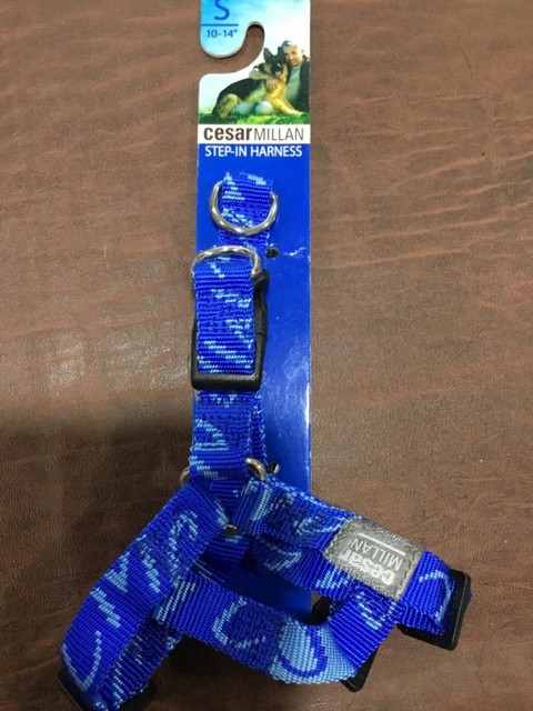 cesar millan harness
