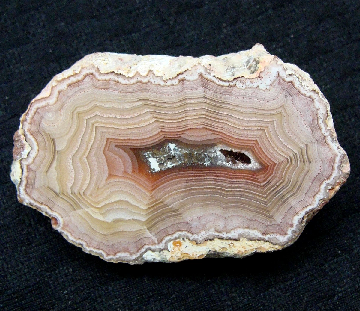 Laguna Agate for sale | eBay