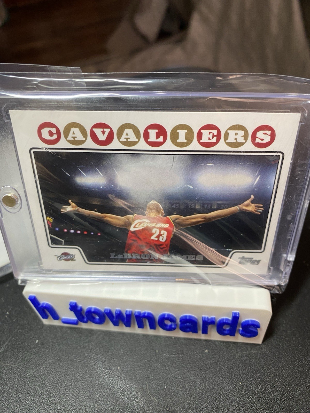 2008-09 Topps - LeBron James #23 Chalk Toss