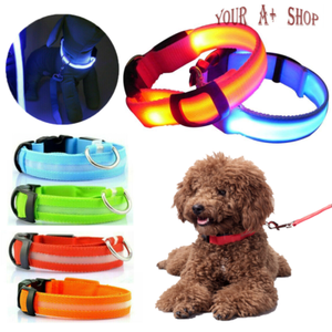 flashing dog collars ebay
