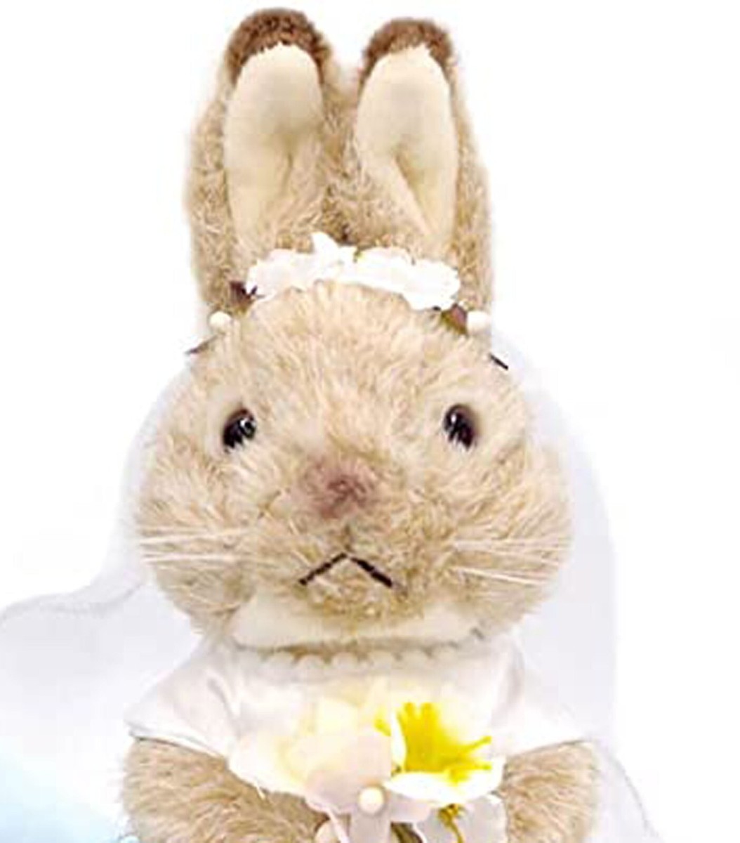 rabbit 0244ページ Electric Household Exercise Plush Peter Rabbit Wedding Doll
