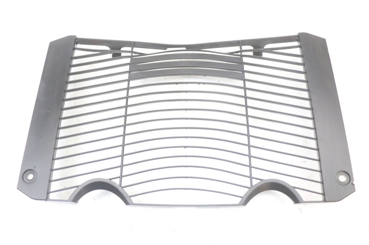 RADIATOR COVER - YAMAHA FZ1 FAZER 1000 (2007 - 2009)