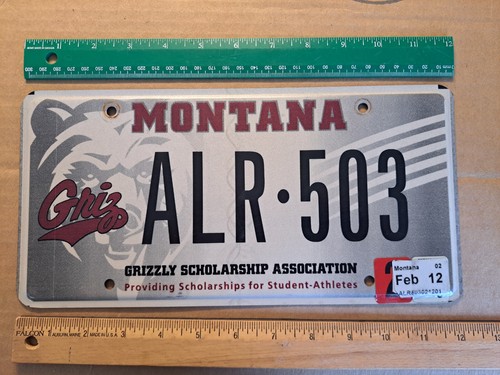 License Plate, Montana, GRIZ, Passenger, ALR 503