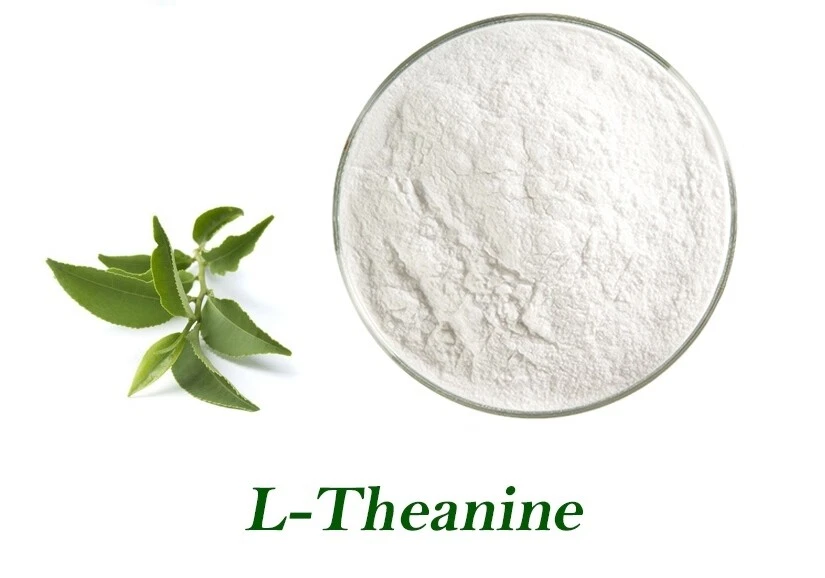 bulk supplements L-Theanine 