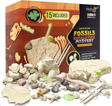 Dino Fossil Dig Kit for Kids   15 Glow-in-the-Dark Fossils STEM Science Toy 3 