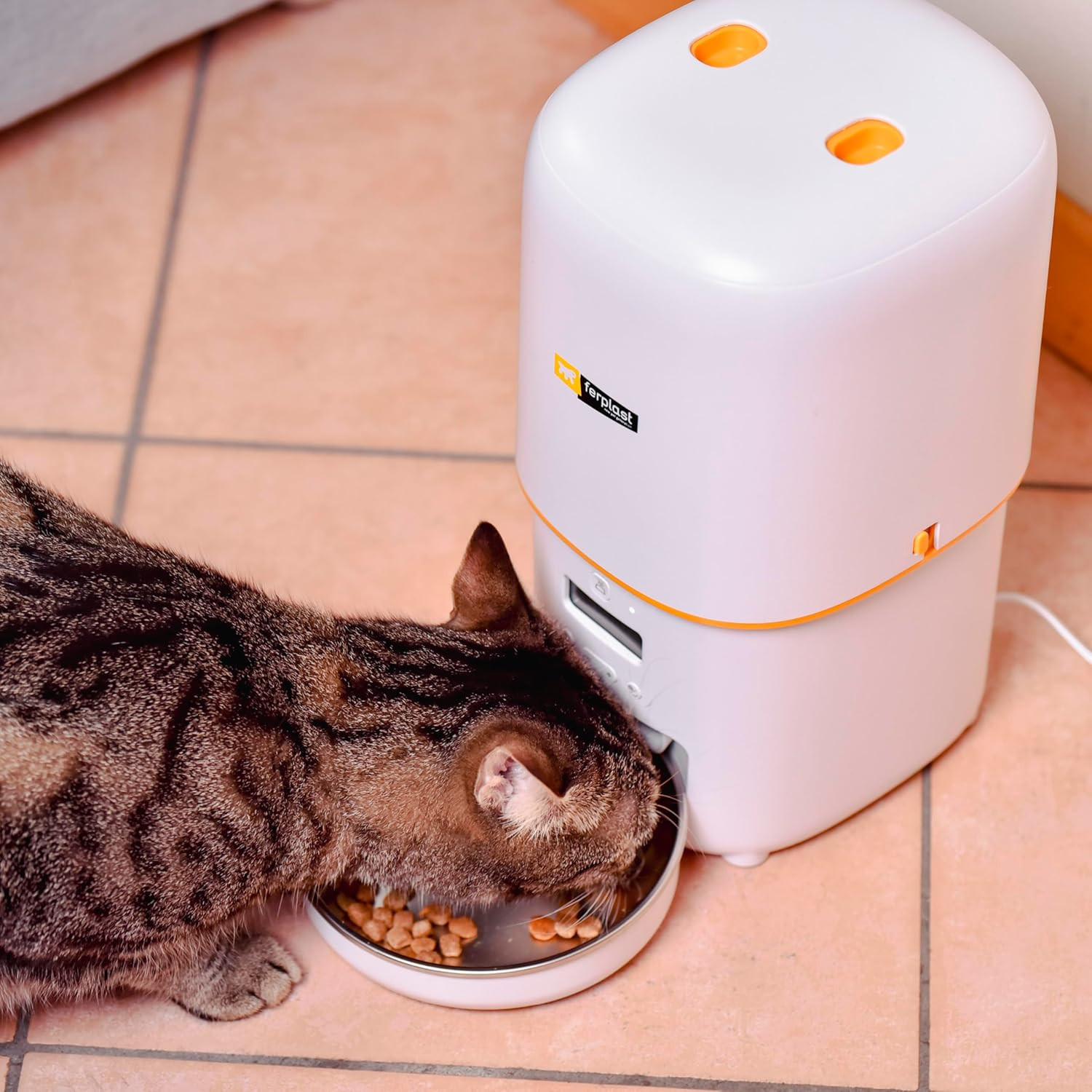 Distributore Automatico Cibo Gatti e Cani 4L | Dispenser 6 Pasti Programmabile - 2