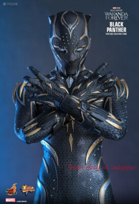 マーベル ブラックパンサー ティチャカ　HOT TOYS Amazon.com: Hot Toys Movie Masterpiece - 1/6 Scale Fully Poseable