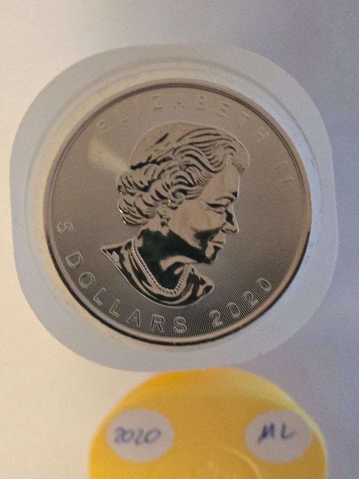 25x 1 Oz Silber 999 Maple Leaf 2020 25 Unzen Silber in Tube - Bild 2 von 4