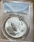 1923-D Peace Silver Dollar PCGS MS64 - Bright Blast