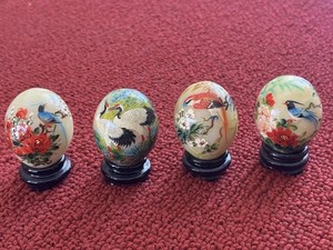 Exotic Bird Eggs | eBay