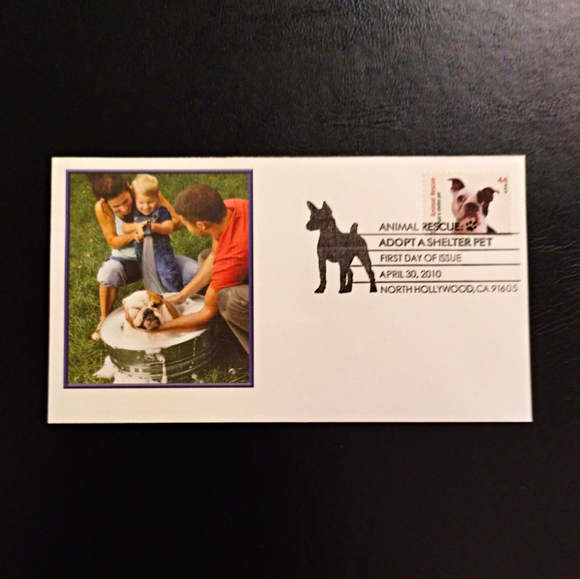 US Dogs First Day of Issue Cover 44c Stamp Used Multicolor 2001-2010