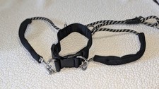 Dog Halter Great For Training Stops Pulling 14-19 Inch Neck Size Medium