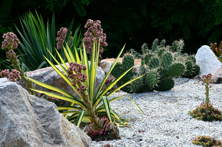 80m² Reißfestes Unkrautvlies Gartenvlies In 150g/m² Profiqualität - Foto 9
