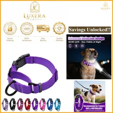 Large Reflective Martingale Dog Collar 1 Inch Nylon No Pull Adjustable Purple