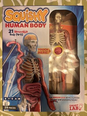 Squishy Human Body Model Set STEAM STEM SmartLab Toys Homeschool Science