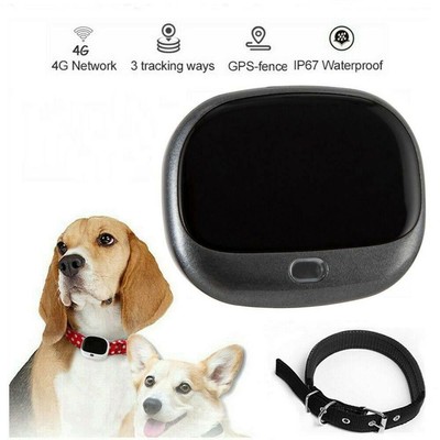 wifi pet tracker