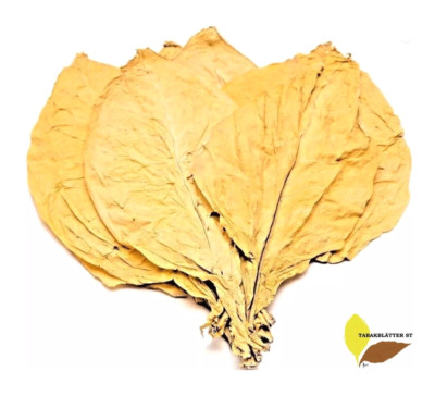 Tabakblätter Virginia Gold 500g-ERNTE 2025-Top Qualität-Tabak-Rohtabak-Duft-Deko