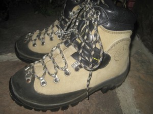 women's 8 in european