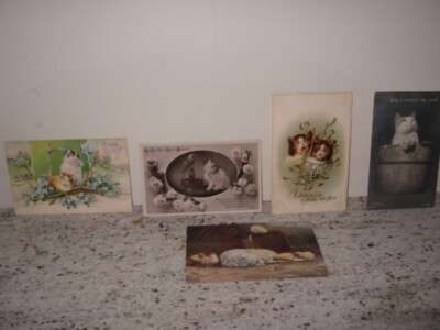 Vintage Lot of 5 Post Cards Dogs & Cats Post Marked 1909... etc #2 VGC f/s 