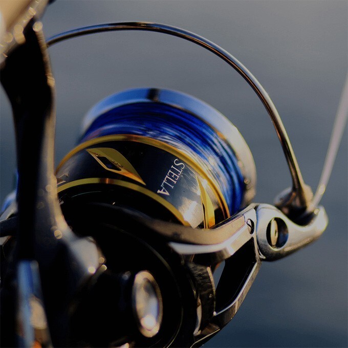 Shimano 20 Stella SW 6000XG Spinning Reel for sale online | eBay