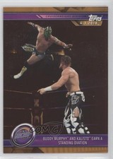 2019 Topps WWE Road to Wrestlemania Bronze Buddy Murphy Kalisto #53 9aj