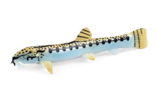 11.5cm Mini Colorful Fish PVC Toy Ocean Sea Fish Animal Figure Kids Gift