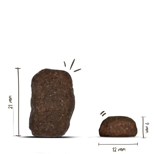 bosch HPC Maxi Junior | Hundetrockenfutter zur Aufzucht großer Rassen ab 25 k... - Bild 2 von 3