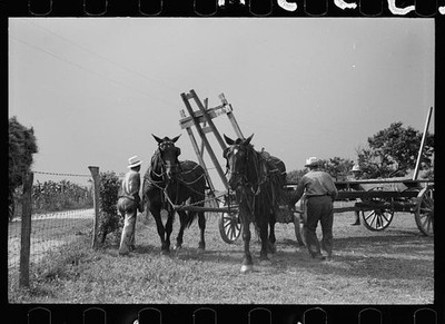 Photo:Frederick Maryland 1937 Wheat Threshing Machine Horsesmen