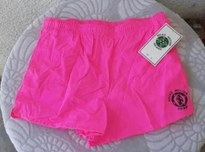 Vintage Gecko Motion Hawaii Men's Neon Pink Drawstring Nylon Shorts Size L NOS