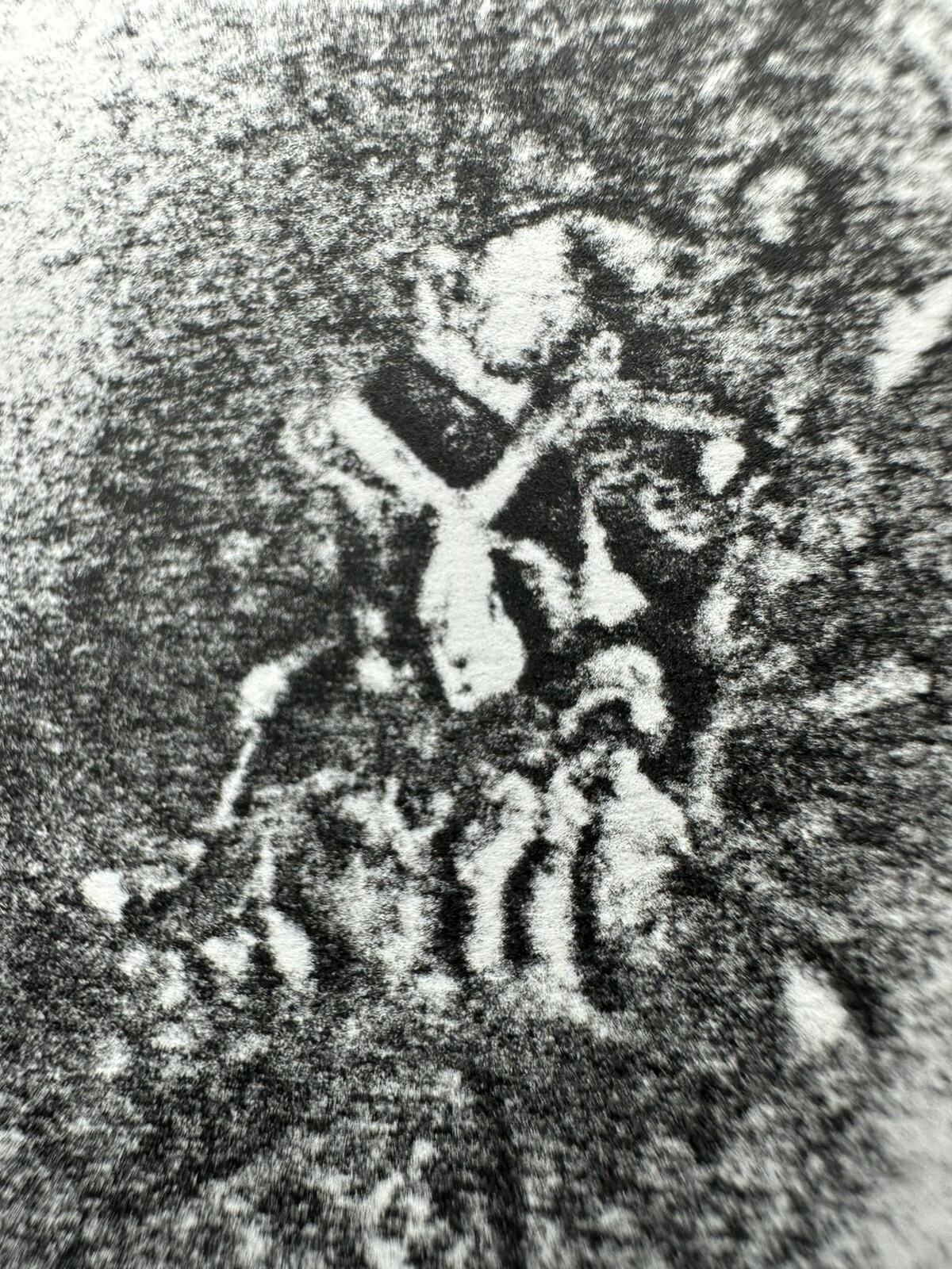 Foto 1 di 6