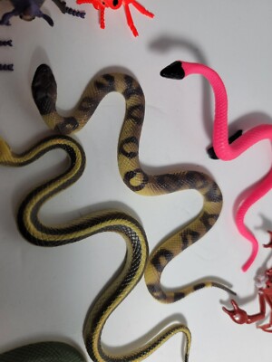 【即購入可能】theredthread S snake laceup to Dragon Snake For Sale - Imperial Reptiles – IMPERIAL REPTILES