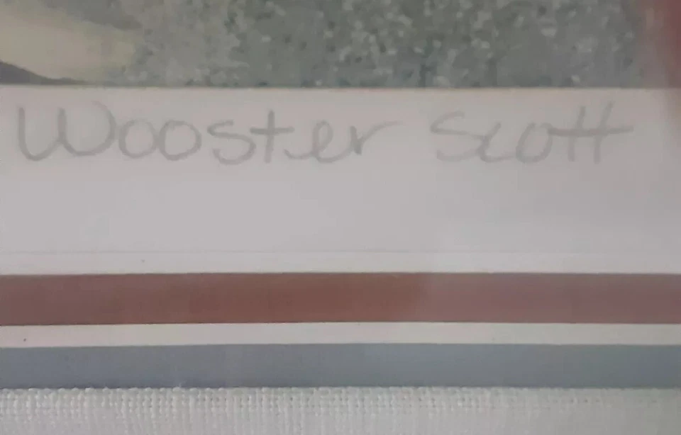 Jane Wooster Scott Seragraph ..Hanging out at Millers Pond Winterwonderland — 第 4/4 张图片