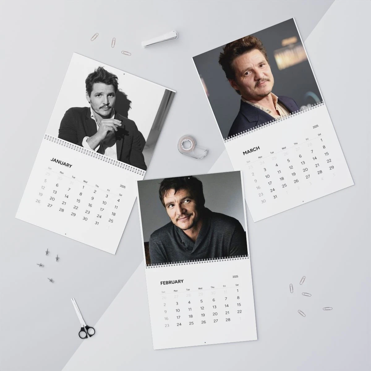 Pedro Pascal Calendar 2025 Wall Calendar