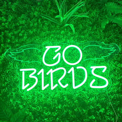 16''x12'' Philadelphia Eagles Go Birds LED Neon Sign With Dimmer USB Powered Light