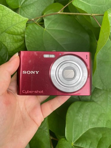 For Sony W510 Cyber-shot DSC Digital Camera 12.1MP 4x Optical Zoom w/Charger