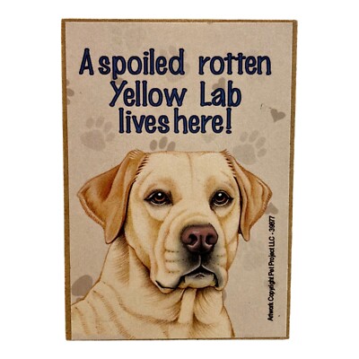 A Spoiled Rotten Yellow Lab Lives Here! Magnet 2.5'' x 3.5'' Pack of 2